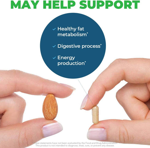 Seeking Health Ox Bile 125 - Digestive Enzyme & Gallbladder Support Supplement - Vegetarian Capsules, 120 Count
