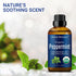 Organic Peppermint Essential Oil 30 ml, Pure Natural Oils for Aromatherapy, DIY, Candle and Soap Making