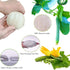 Loofah Sponge Exfoliating Facial Cleaning Pads, 10 Packs Natural Loofa Face Scrubber for Men Women Bath Spa Cleansing