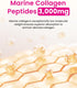 Innerb Glowshot Collagen (10.1fl oz, 6 Servings) - Low-Molecular-Weight Fish Collagen Shots for Skin, Hair, Nails
