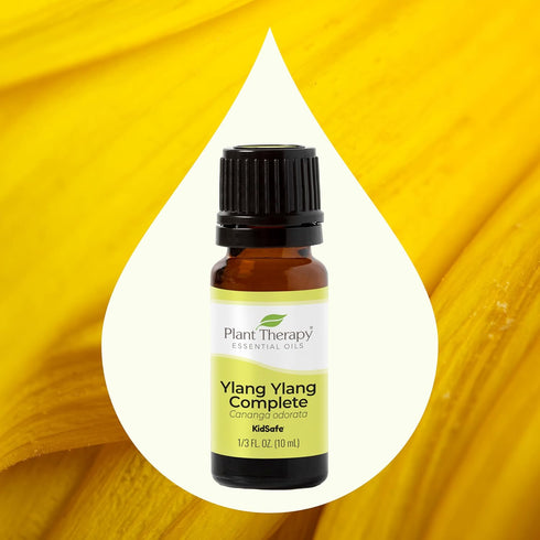 Plant Therapy Ylang Ylang Complete Essential Oil 10 mL (1/3 oz) | 100% Pure, Undiluted, Natural Aromatherapy,