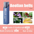 4PCS Women Perfume - Eau de Parfum Roll-On Perfumes for Women and Men - 10 ml / 0.33 fl Oz