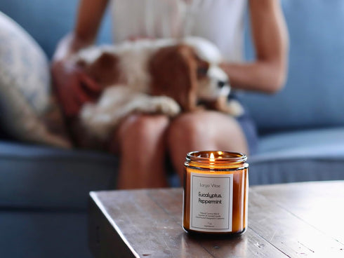 Larga Vitae Organic Coconut Wax Aromatherapy Candle | Eucalyptus & Peppermint | Non-Toxic, Pet Safe, Allergy Friendly |