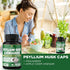 BMVINVOL Psyllium Husk Fiber Supplement with Fenugreek, Apple Cider Vinegar, Turmeric, Ginger, Black Pepper - 60