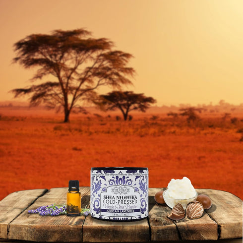 Shea Terra Organics 100% Organic Cold-Pressed Virgin Shea Butter – S. African Lavender, 6 oz Anti-Aging Cream