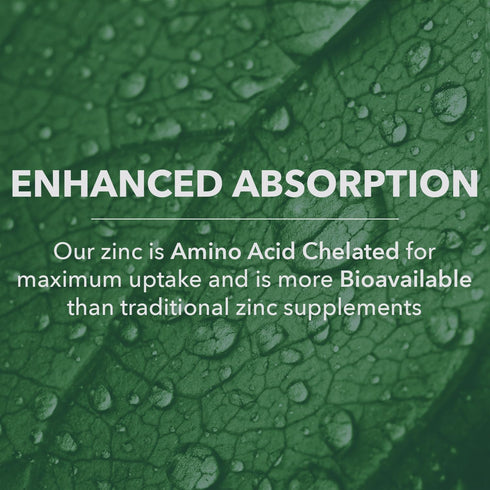 PlantFusion Vegan Zinc Supplements 22 mg, Wholefood Complex, Chelated Zinc Citrate from Organic Guava Leaf