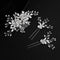Sliver Flower Hair Comb with 2 Clear Crystal Hair Pins and Sticks, Wedding & Bridal Hair Accessories for Bridesmaids.