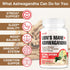 Zylvrax Immune 90 Ashwagandha & Lions Mane Supplements Capsules, Brain Supplements for Memory and Focus, Ashwagandha