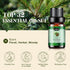Set, (32 5ml) Essential Oils Aromatherapy Essential Oil Kit for Diffuser, Humidifier, Massage, Skin Care x