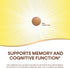 Nature's Way Ginkgold Advanced Ginkgo Extract, 150 Tablets, Supports Memory, Focus & Cognitive Function*