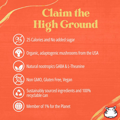 Pack 12oz 6 Pack High Ground Elixir Mushroom Seltzer Variety | Lions Mane for Focus, Reishi for Stress, Cordyceps