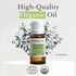 Pranarom USDA Certified Organic Eucalyptus Globulus Essential Oil (30ml) - 100% Pure for Aromatherapy, Relaxation