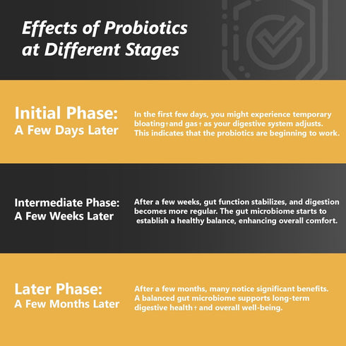 Probiotics with Prebiotics for Men and Women - 35 Strains Organic Probiotics 100 Billion CFU for Gut Health, 60 Capsules