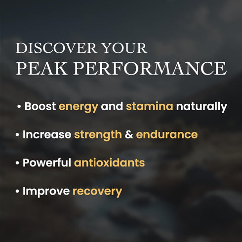 Based Shilajit | Pure Shilajit Resin with Max Potency for Energy & Immune Support | 60 Servings Rich in Fulvic Acid