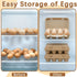 MIXTRYUS 12 Count, 50 Pack Egg Cartons Cardboard Egg Cartons Cheap Bulk, Reusable Paper Egg Holder for Supermarkets