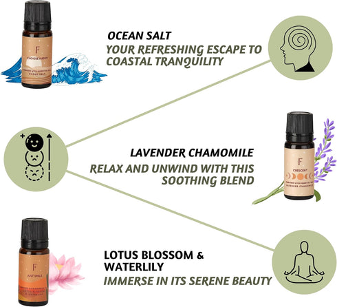 Folkulture Fragrance Oils for Diffuser - Set of 6 Essential Oils for Home - Gift Box