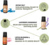 Folkulture Fragrance Oils for Diffuser - Set of 6 Essential Oils for Home - Gift Box