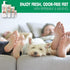 Miracle Foot Repair Cream, 4 oz, Repairs Dry Cracked Heels, Diabetic-Safe, Moisturizes and Softens Feet, 2-Pack