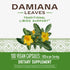 Nature's Way Damiana Leaves, 800 mg per serving, 100 Vcaps