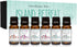 Island Retreat Gift Set of 6 Premium Fragrance Oils - Barrier Reef, Mountain Meets The Ocean, and More