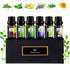 Fresh Essential Oils Set, 6x10ml Aromatherapy Oil Gift Kit for Diffuser, Fragrance, Humidifiers, Air Purifier