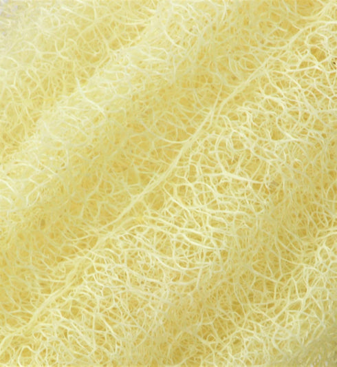 Egyptian Loofah Sponges - Natural Exfoliating Body Wash Gourd, Bath Sponges for Skincare (Pack of 3-6.5 in.)