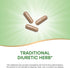 Nature's Way Dandelion Root, Traditional Diuretic Herb*, Vegan, 180 Capsules (Packaging May Vary)