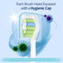 Replacement Toothbrush Heads - Compatible with Philips Sonicare Electric Toothbrush, White, 10 Pack Refills