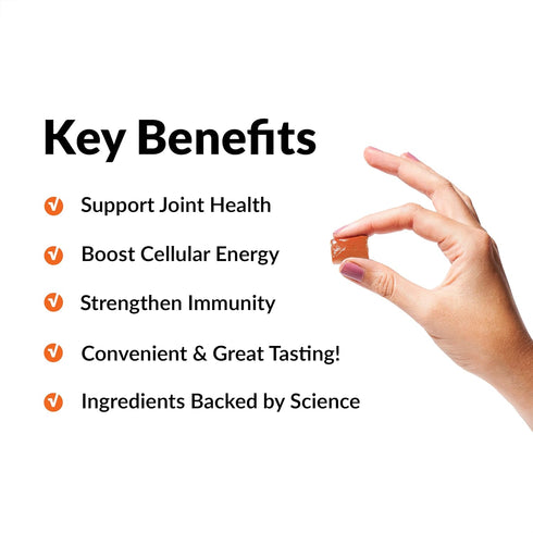 Force Factor Better Turmeric Joint Support Supplement for Extra Strength Joint Health, Featuring HydroCurc Turmeric Curcumin with Black Pepper for Superior Absorption, Fruit Splash, 120 Soft Chews