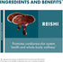 Immune 1 oz (30 Host Defense Reishi Extract - Heart & Health Support Supplement - Mushroom Supplement to Support Energy