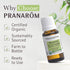 Pranarom USDA Certified Organic Rosemary Cineole Essential Oil (15ml) - 100% Pure Undiluted for Aromatherapy