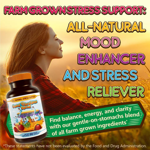 Stress, Mood, Energy Support - Good Vibrations Blend with Ashwagandha Root, Lion's Mane & More