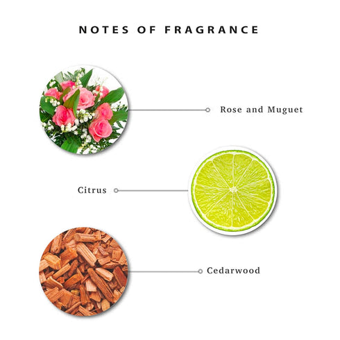 Perfumed Shower Gel Charming 550ml