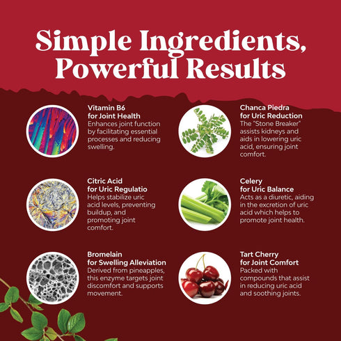 Herbal Uric Acid Cleanse and Detox - Daily Kidney Cleanse and Uric Acid Support Supplement for Adults