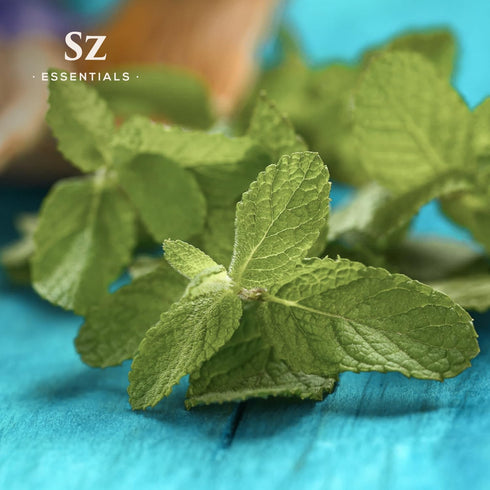 Muna Muna Andean Mint Essential Oil, 100% Pure, 0.17oz (5ml), Rich Minty Scent, Therapeutic Grade
