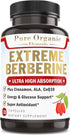 Extreme Berberine Plus with ALA, CoQ10, Turmeric, Cinnamon & 21 Herbs for Healthy Blood Sugar & Immunity