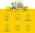 Ricola Sugar Free Herb Throat Drops, Lemon Mint, Pack of 3, 19 ct