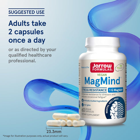 Jarrow Formulas MagMind Stress Resistance - 1g Magtein, L-Theanine, Rhodiolife, 60 Veggie Capsules, 30 Day Supply