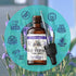 Blue Vervain Herb Organic Extract - Natural Vervain Supplement for Men & Women, Made in USA, 2 oz