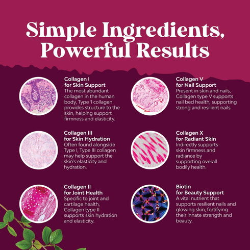 Advanced Multi Collagen Complex - Biotin and Collagen Supplement for Men and Women - Type 1 2 3 5 & X Collagen Pills