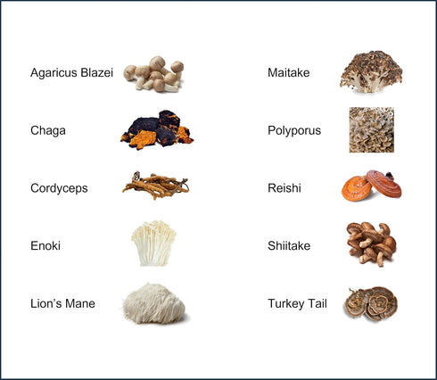 Mushroom Extract Powder - Powerful 10 Blend, Organic Lions Mane, Cordyceps, Reishi, Shiitake, Turkey Tail Mushrooms for