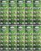 100 Pack AG3 LR41 392 SR41SW 384 192 V384 V392 D384 D392 280-13 Alkaline Button Cell Battery