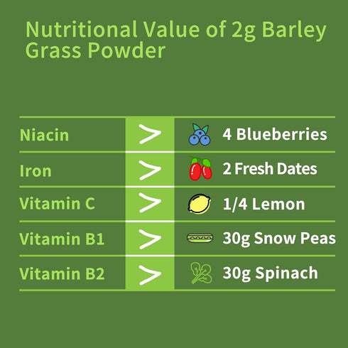 Hudetex Sugar-Free8 oz Barley Grass Juice Powder Rich in Chlorophyll & Natural Nutrients, Barley Grass Powder