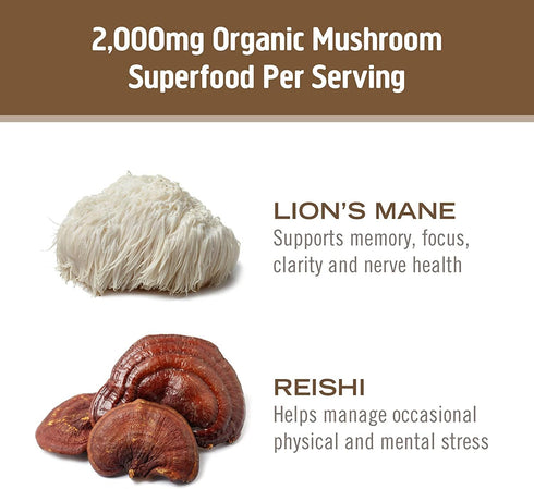 OM Mushroom Superfood Brain Fuel Mushroom Powder Capsules, 90 Count, Lion's Mane & Reishi Blend