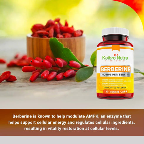 Kaibro Nutra Berberine 500mg (1000mg Per Serving) for Supports Healthy Immune Function, Antioxidant, Gastrointestinal &