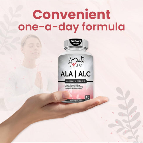 ALA/ALC High Potency Formula - Alpha Lipoic Acid and Acetyl-L-Carnitine HCl Dietary Supplement - 60 Capsules
