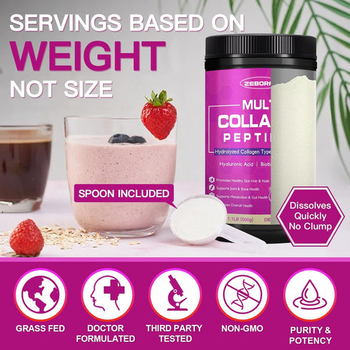 ZEBORA Collagen Peptides Powder | 50 Servings | Hydrolyzed Multi Collagen Type I II III V X with Hyaluronic Acid &