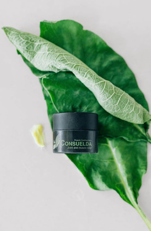 Organic Comfrey Salve