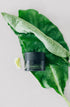 Organic Comfrey Salve
