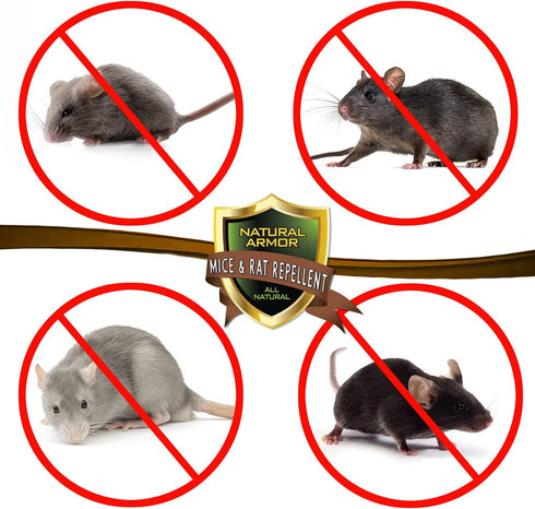 Mice & Rat Repellent, Peppermint Spray for Mice, Rats & Rodents, Natural Indoor & Outdoor Use, 128 OZ Refill